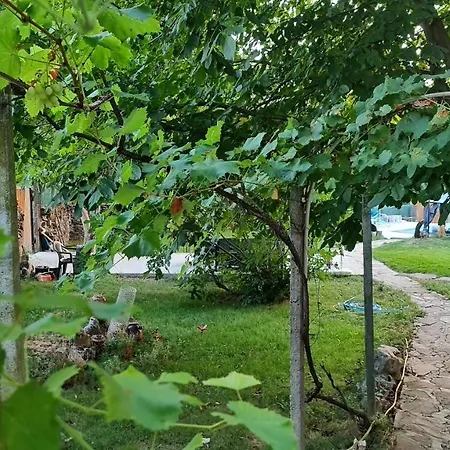румянцево Rumyantsevo
