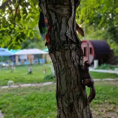 румянцево Rumyantsevo